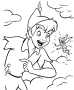 magicolor.free.fr_peter pan (36) * 536 x 649 * (9KB)